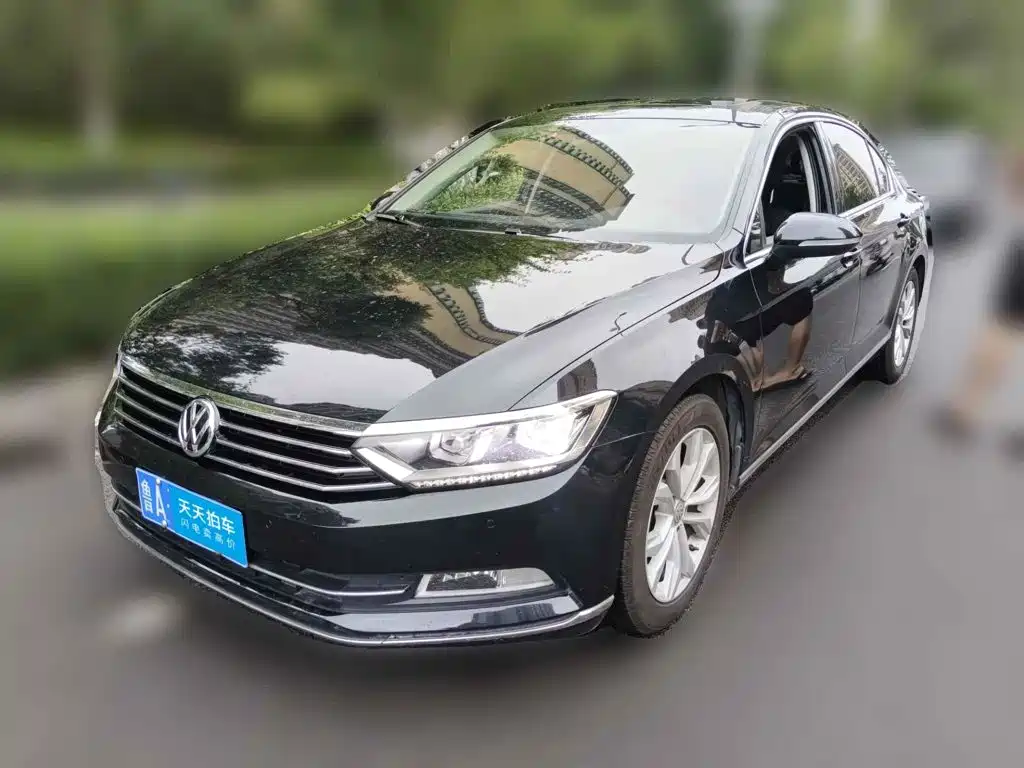 Volkswagen Magotan 2019 330TSI DSG Luxury Class China VI
