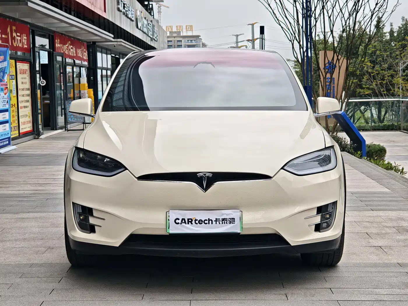 TESLA MODEL X