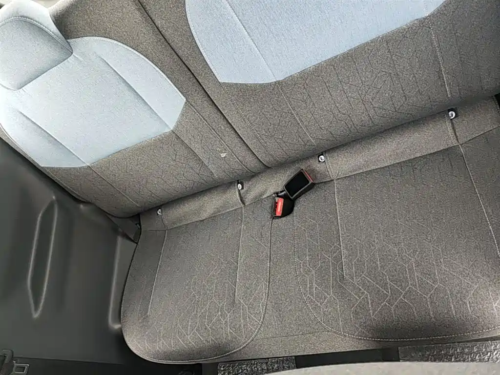 Geely Galaxy Panda 2025 Panda mini 210km Vitality Bear фото 17