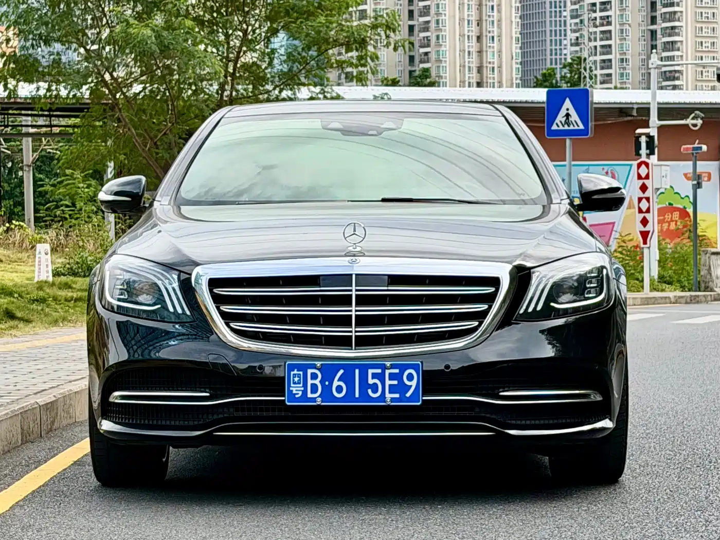 Mercedes-Benz S-Class 2020 S 350 L Premium Edition Collector's Version фото 2