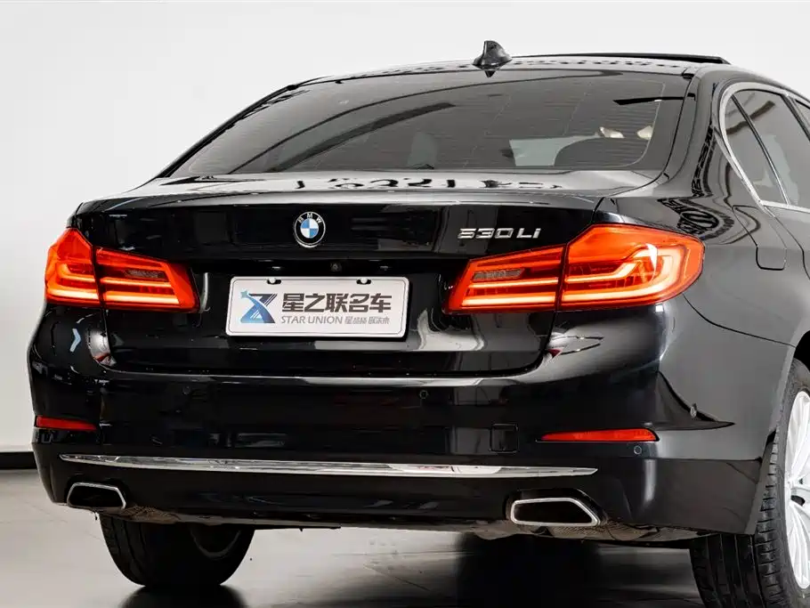 BMW 5 Series 2020 530Li Premium Luxury Package фото 8