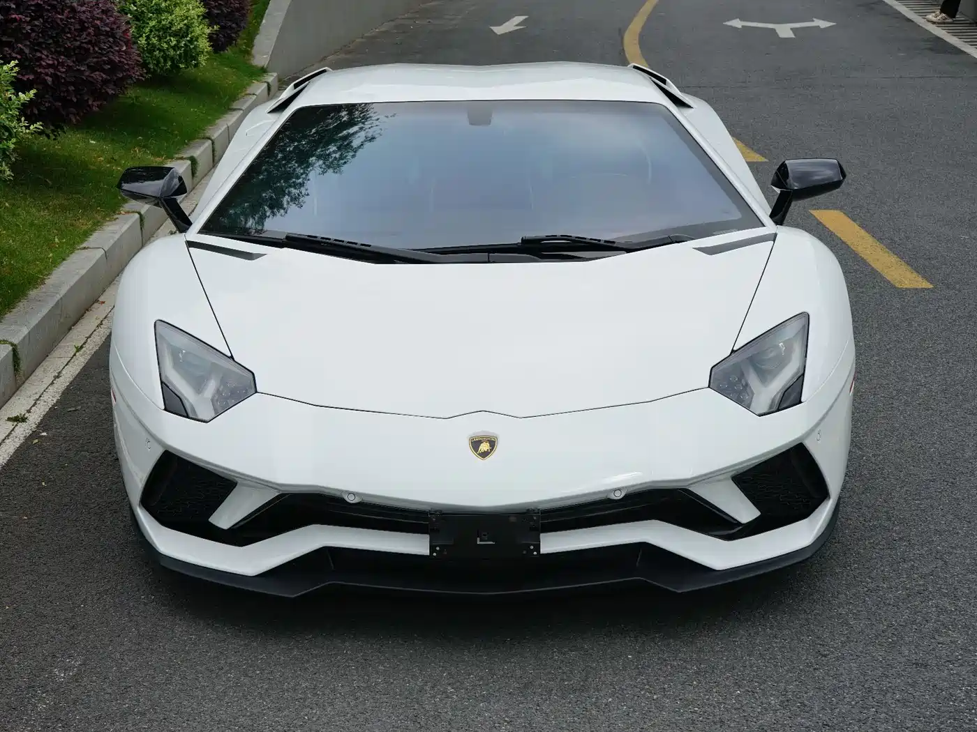 Lamborghini Aventador 2017 Aventador S фото 2