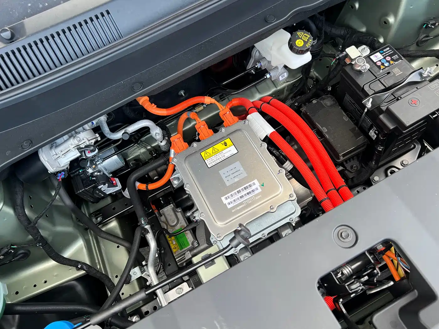 BAOJUN YUE ALSO PLUS