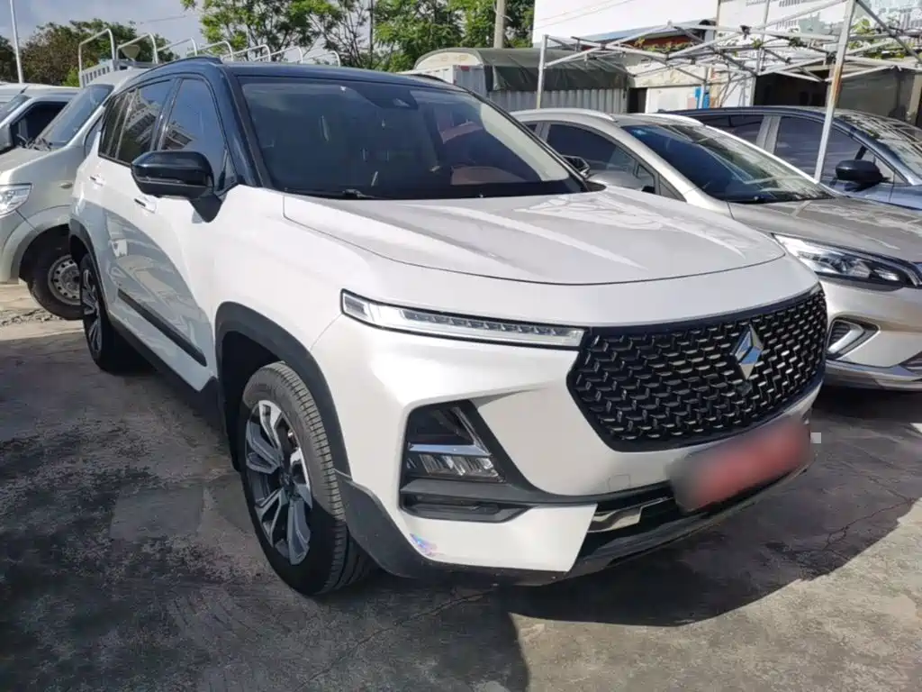 Фото 4 - Baojun RS-5