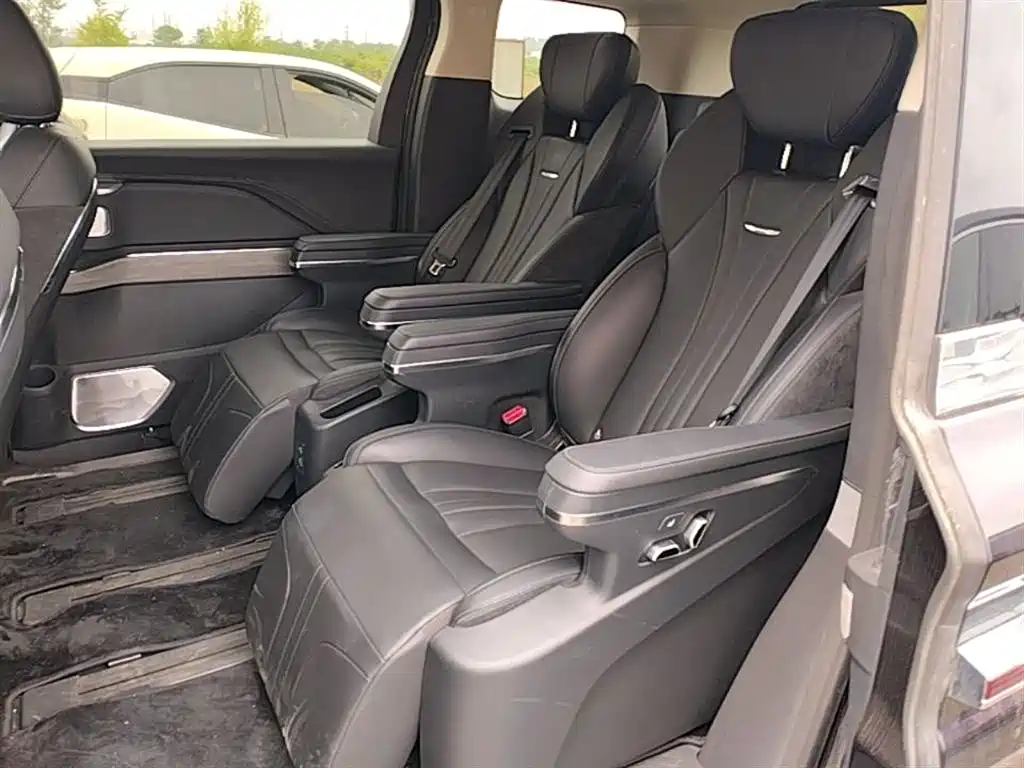 Hongqi HQ9 PHEV 2024 Model 2.0T AWD Business Edition фото 17