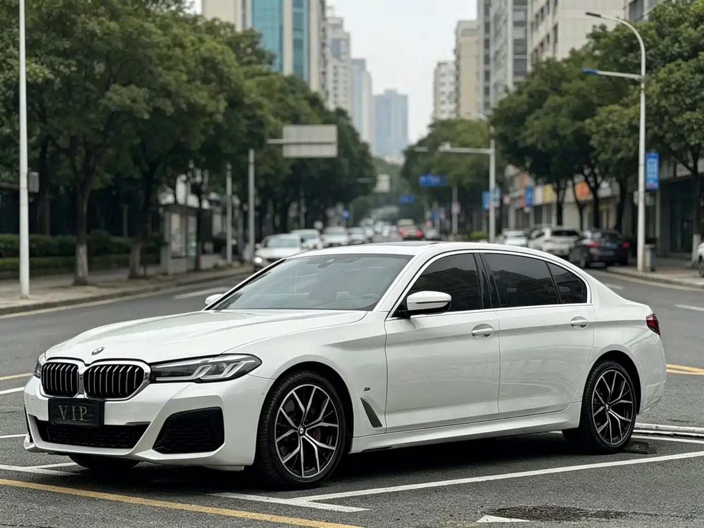 BMW 5 Series 2022 530Li Exclusive M Sport Package