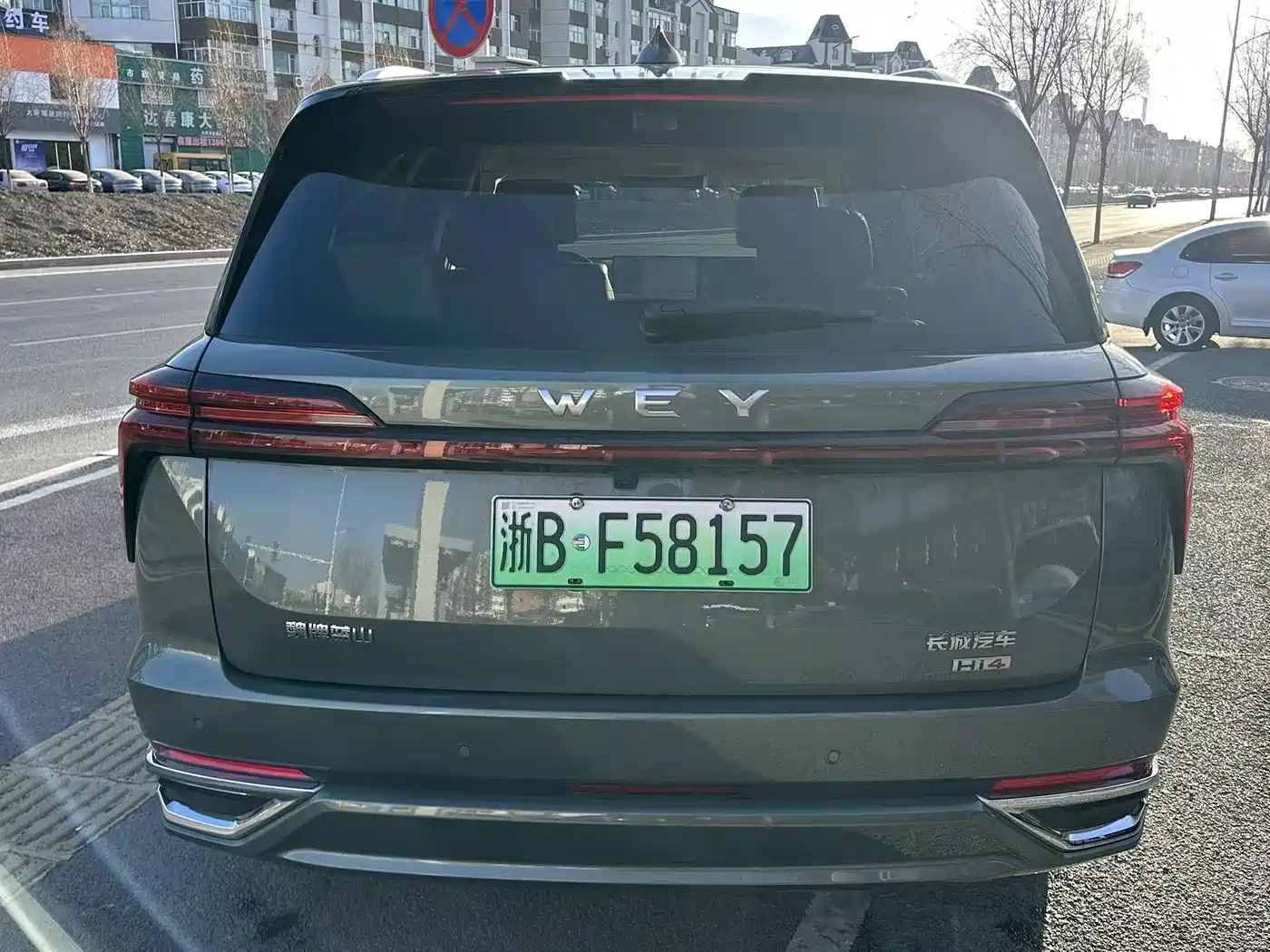 WEI PAI WEI BRAND BLUE MOUNTAIN