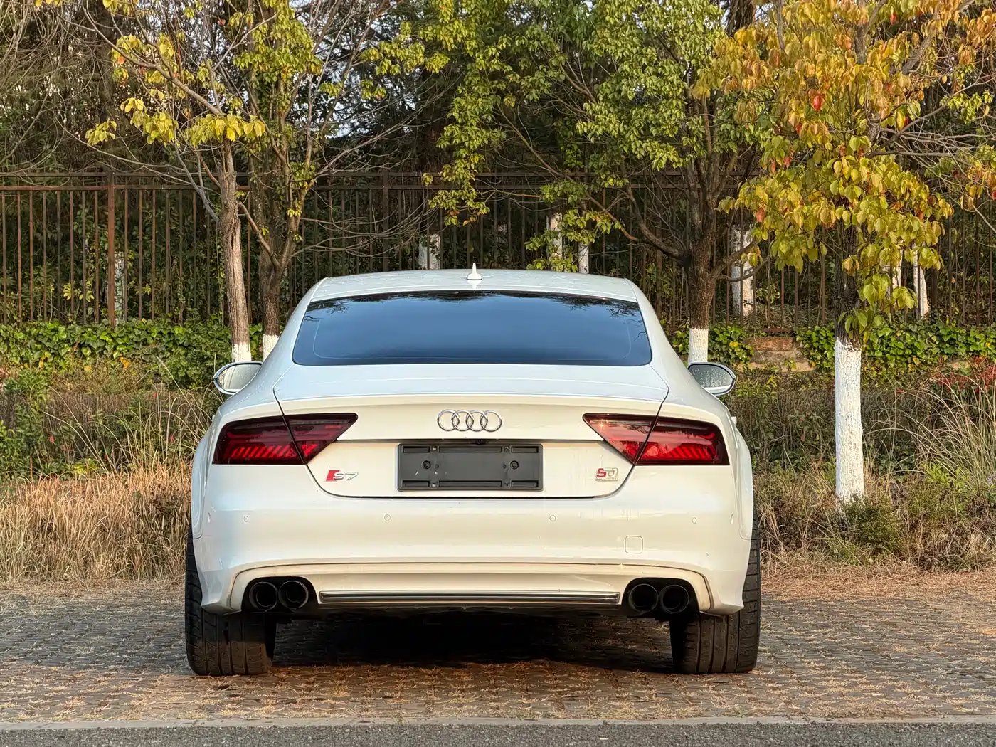 Audi S7 2013 4.0 TFSI quattro фото 11