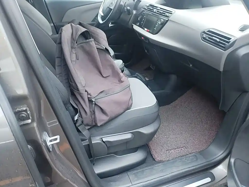 Фото 25 - Citroën C4 Picasso