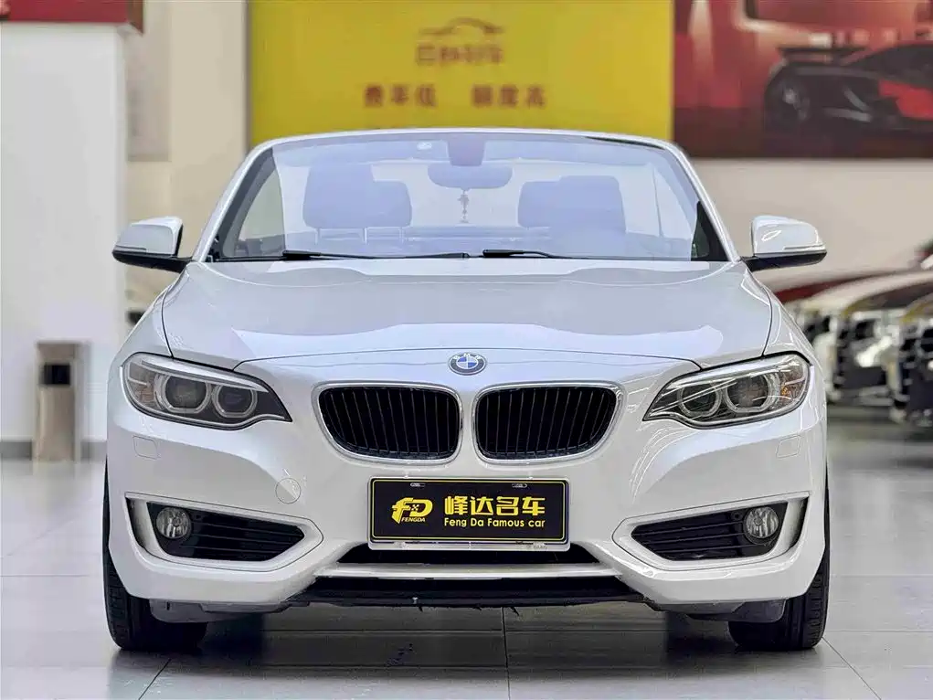 BMW 2 Series (Import) 2015 218i Convertible Coupe фото 4