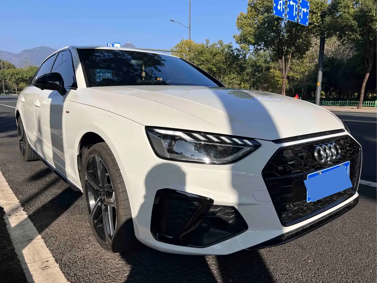 Audi A4L 2025 2025 2 Million Celebration Edition 40 TFSI Luxury Dynamic