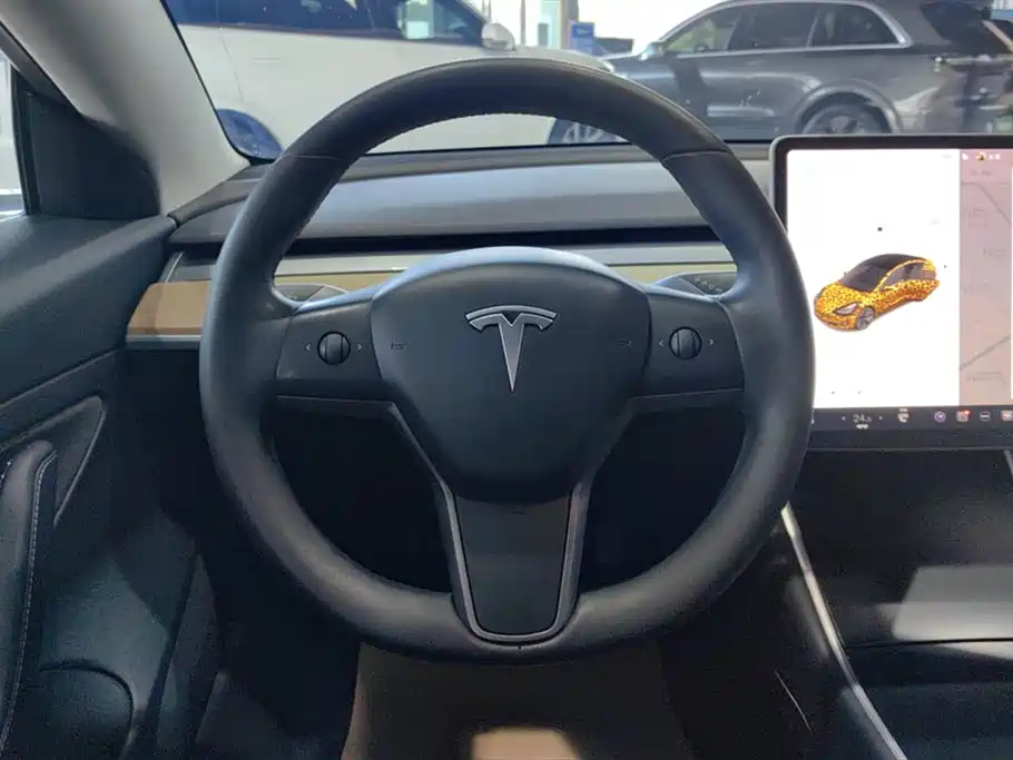 TESLA MODEL 3 (IMPORTED)
