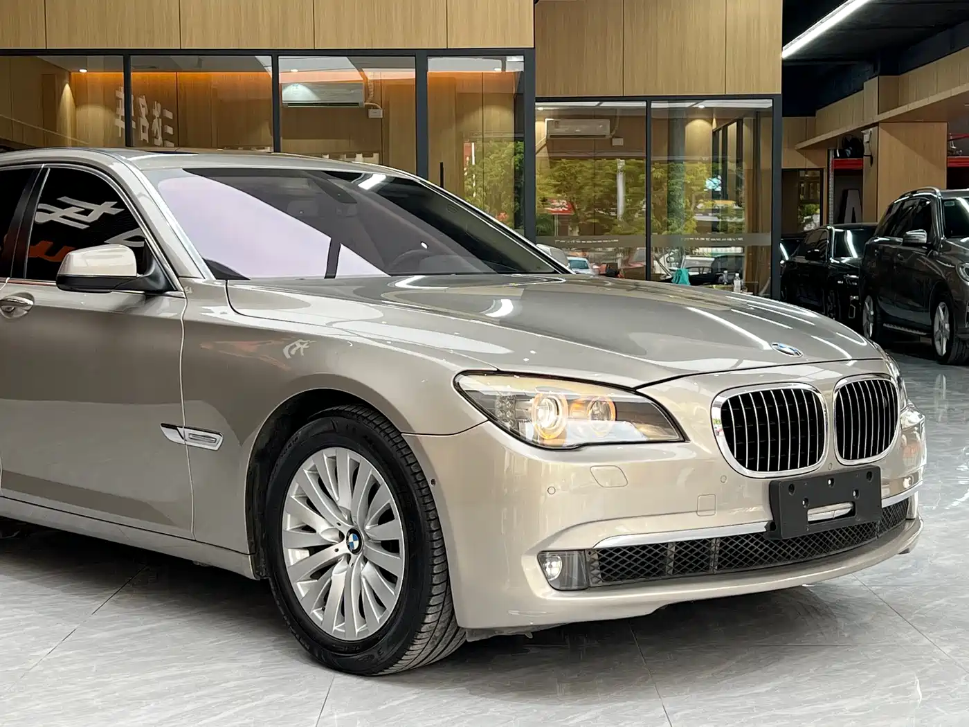 BMW 7 Series 2010 750Li фото 7