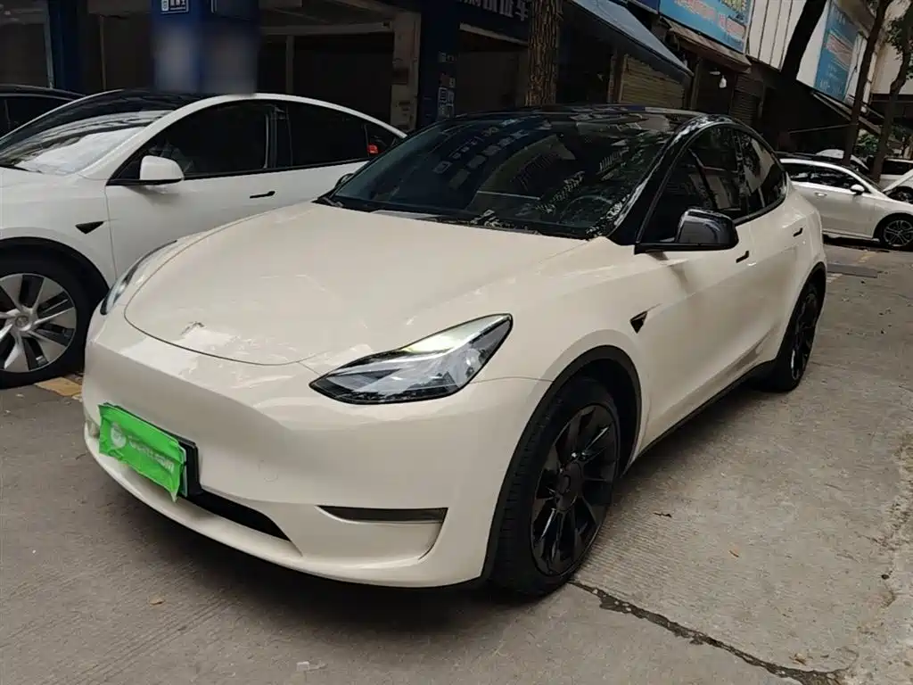 Tesla Model Y 2021 Model Long Range AWD