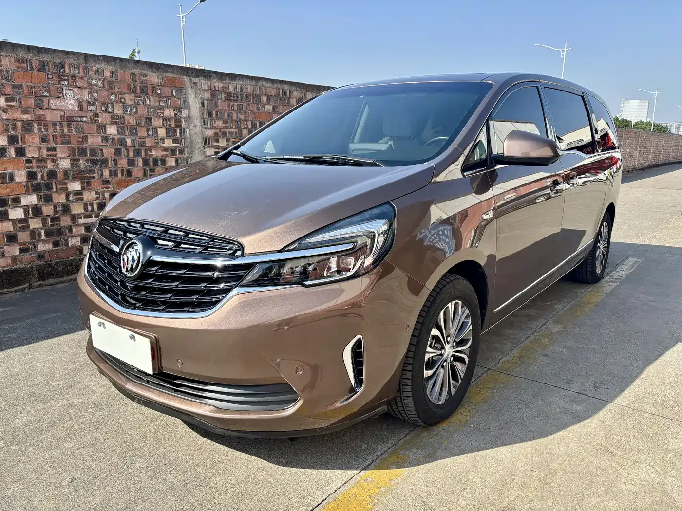 Buick GL8 2020 Land Business Class 652T Premium