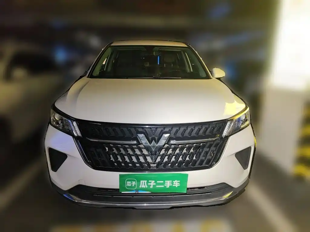 Wuling Motors Wuling Xingchen 2023 2022 2.0L DHT Electric Power Edition
