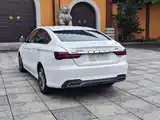Фото 7 - Geely Binrui