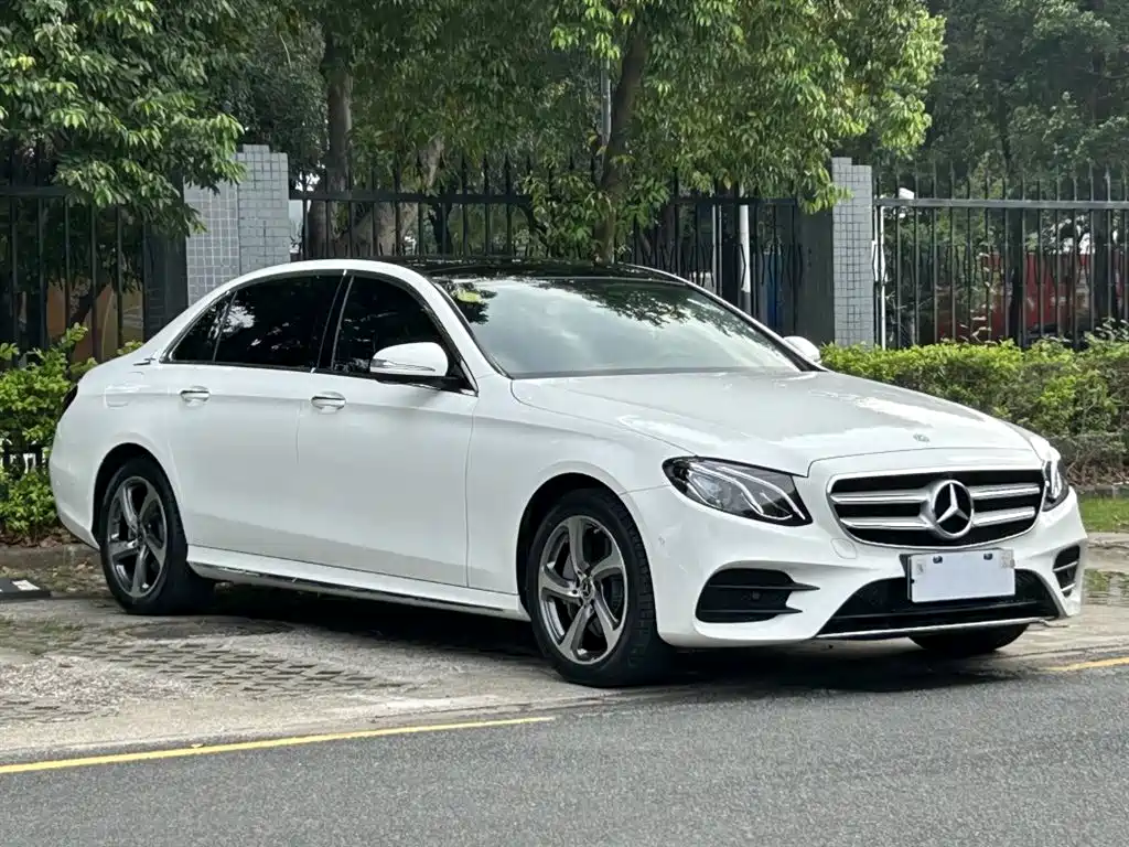 Mercedes-Benz E-Class 2019 E 300 L Sport Luxury фото 3