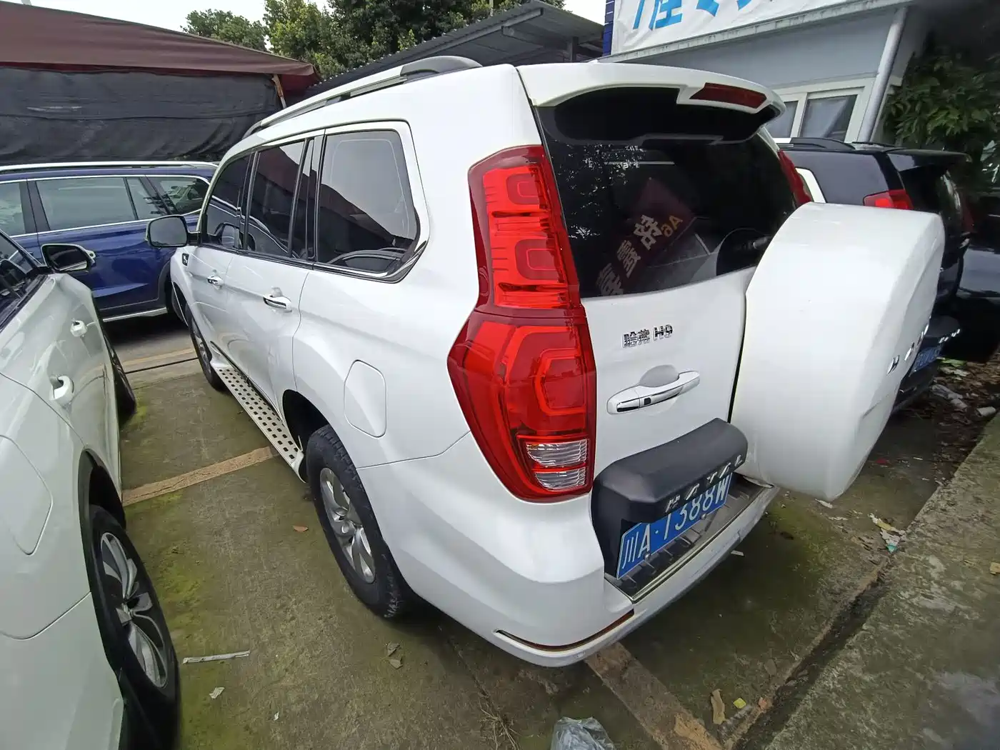HAVAL H9