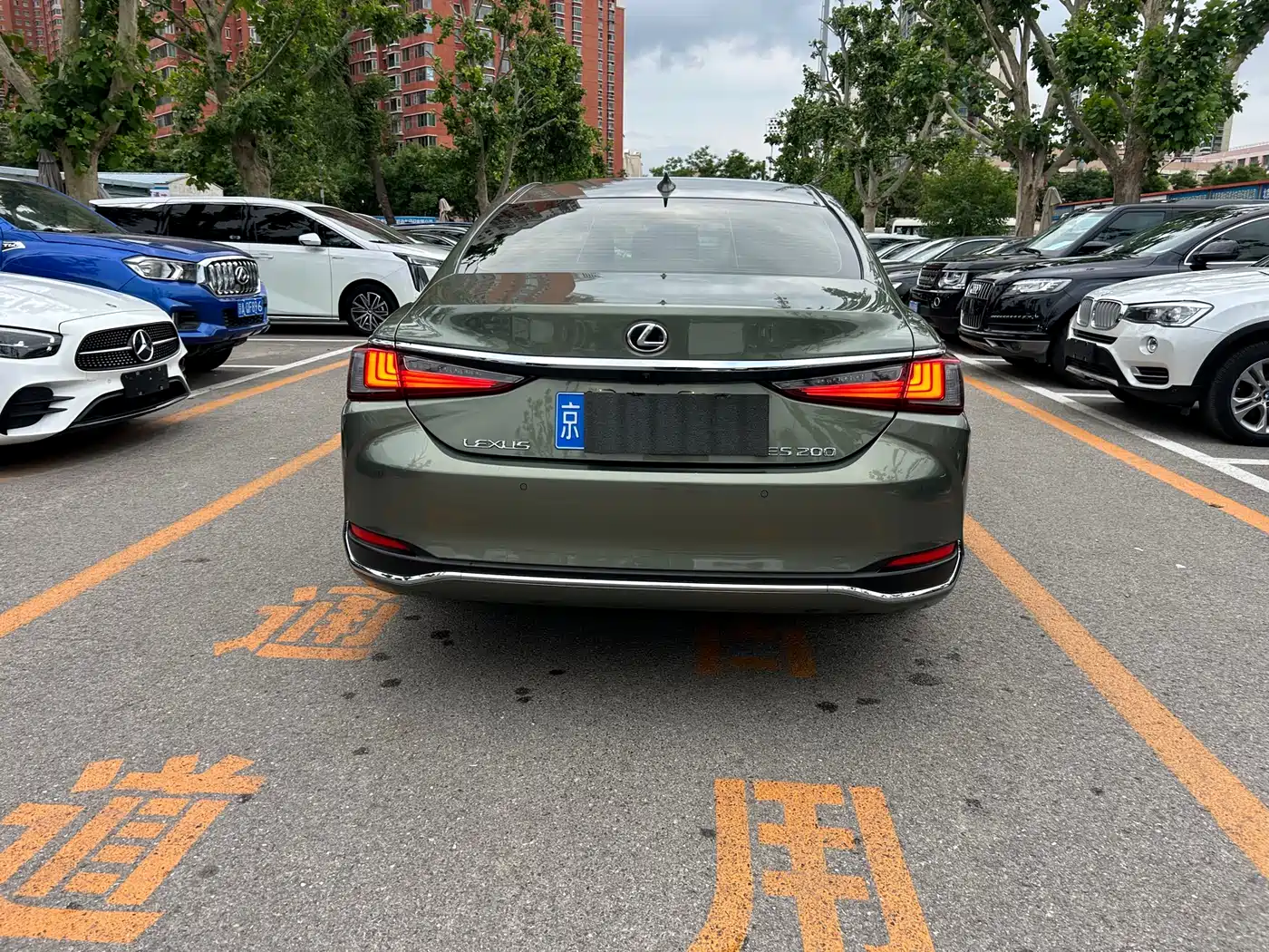 Lexus ES 2023 200 Luxury Edition фото 5