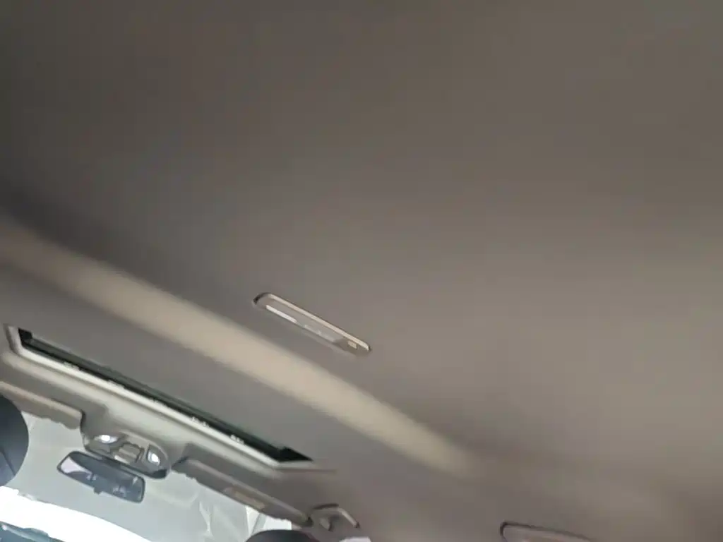 Baojun Valli 2022 2021 1.5T Dali Sky CVT Premium