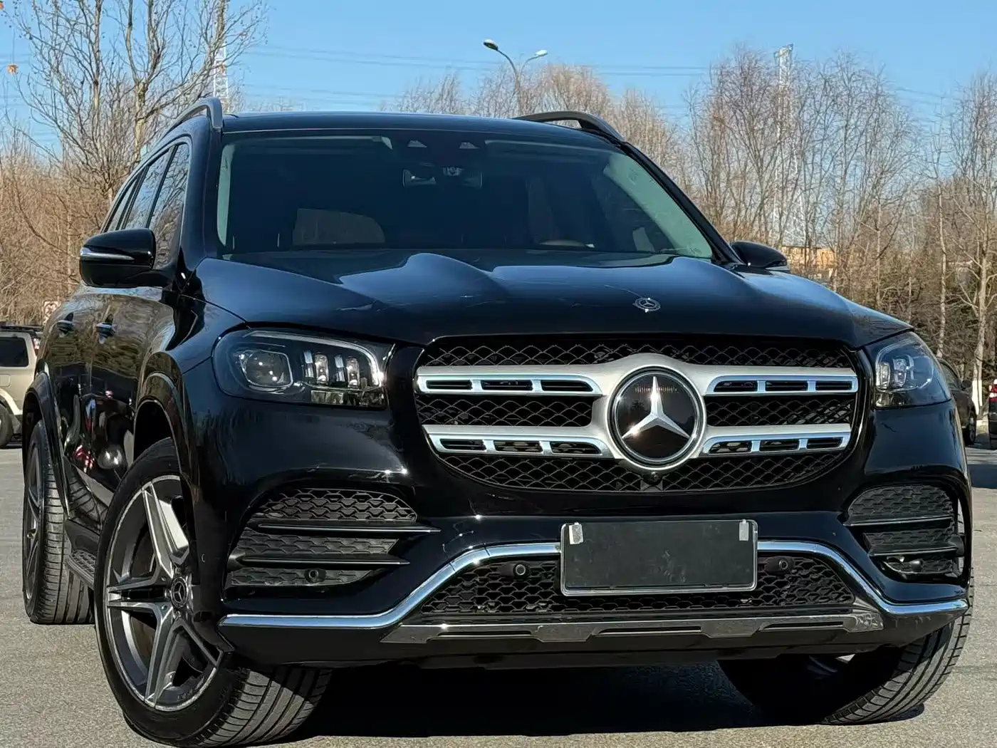 Mercedes-Benz GLS 2022 GLS 450 4MATIC Luxury фото 3