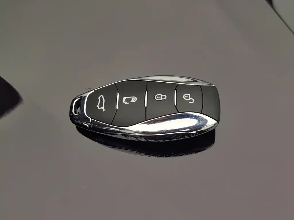Photo 19 - Hongqi HQ9
