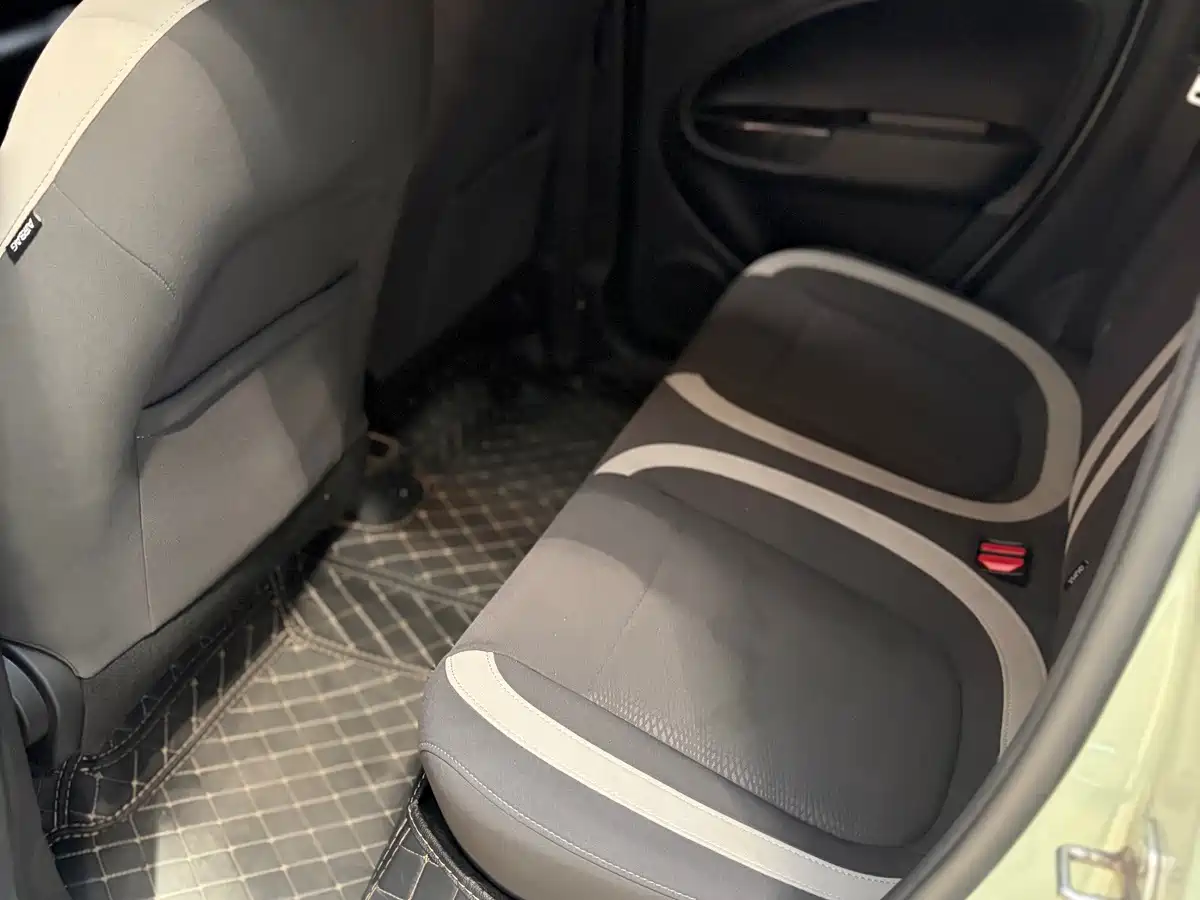 Ora White Cat 2021 2022 Upgraded 305km Luxury (NMC)