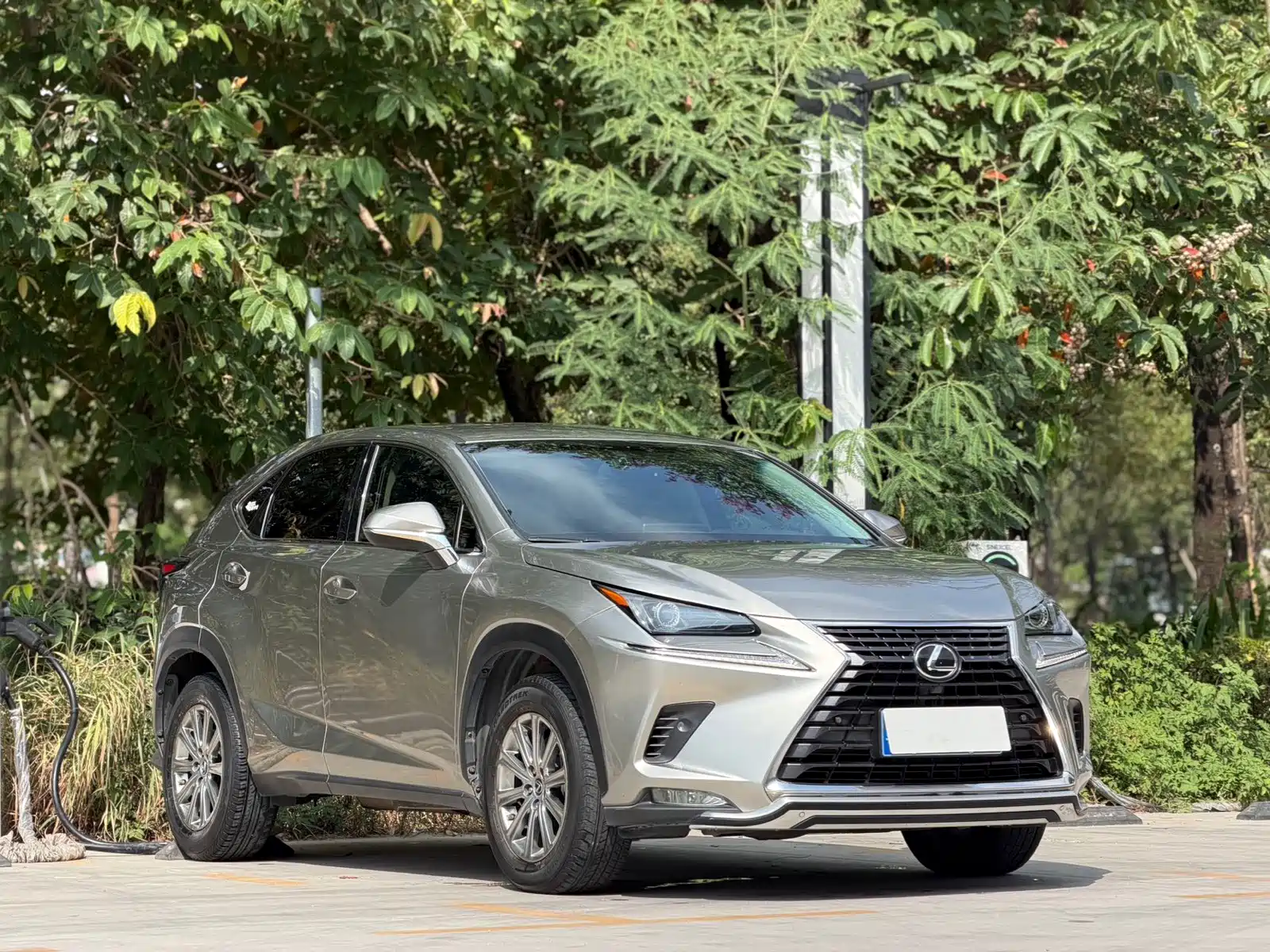 Photo 3 - Lexus NX