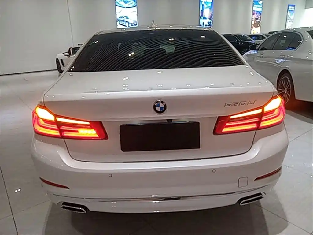 BMW 5 Series 2018 Facelift 530Li Leading Luxury Package фото 6