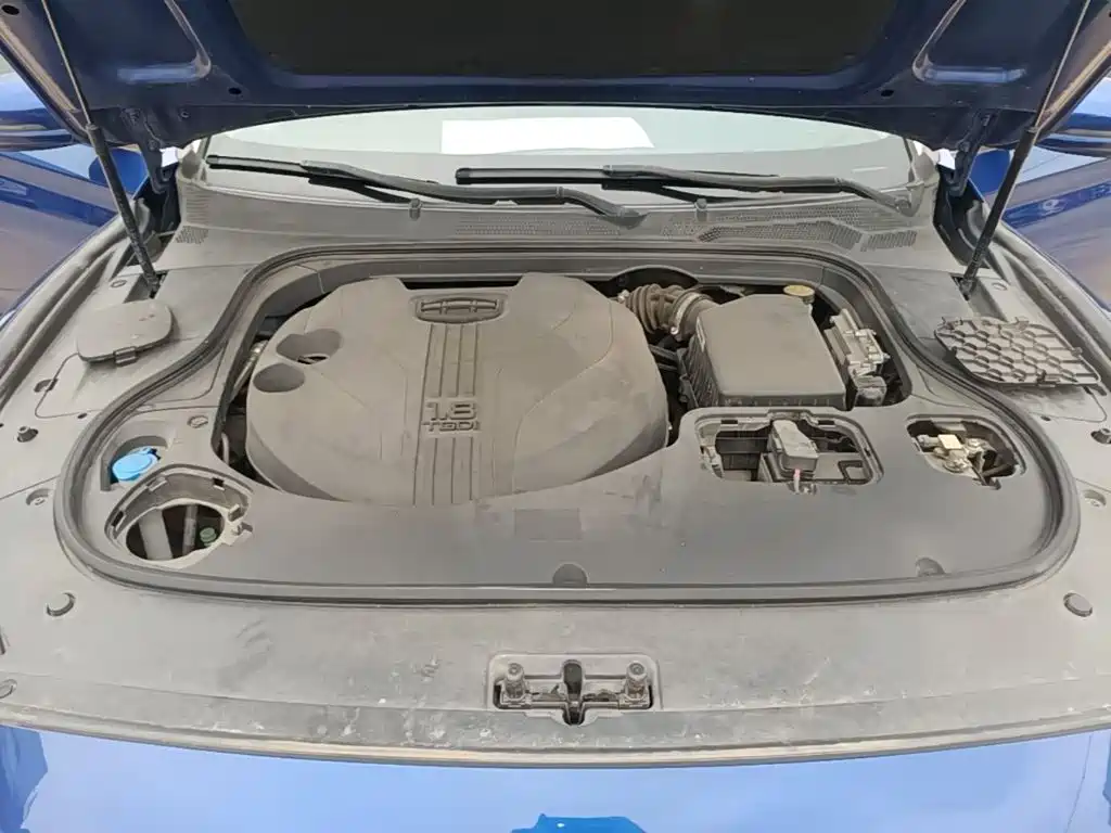 Geely Borui 2020 2021 1.8T Pilot Edition