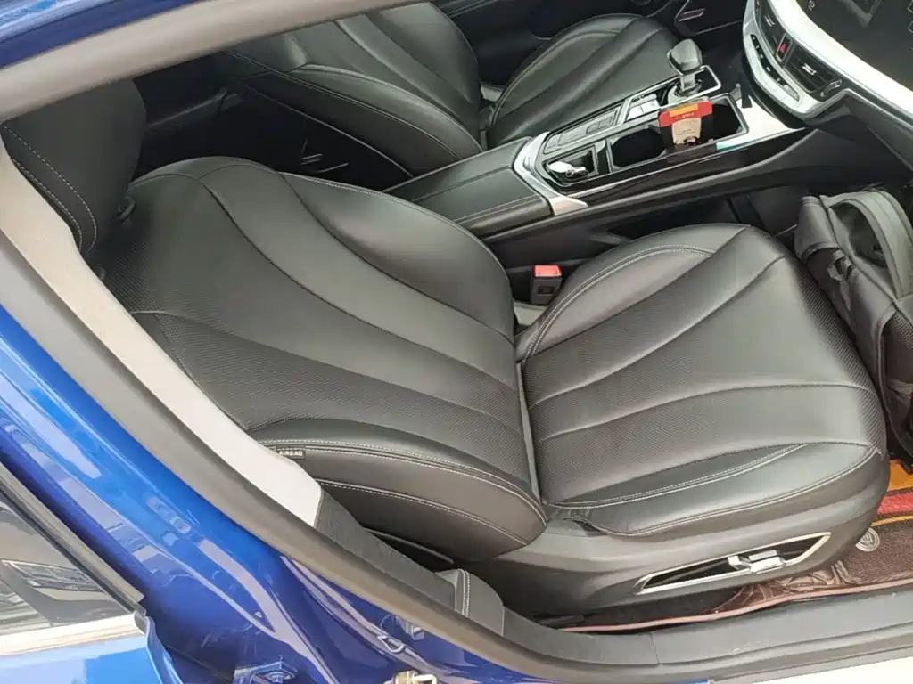 Geely Borui 2020 2021 1.8T Pilot Edition