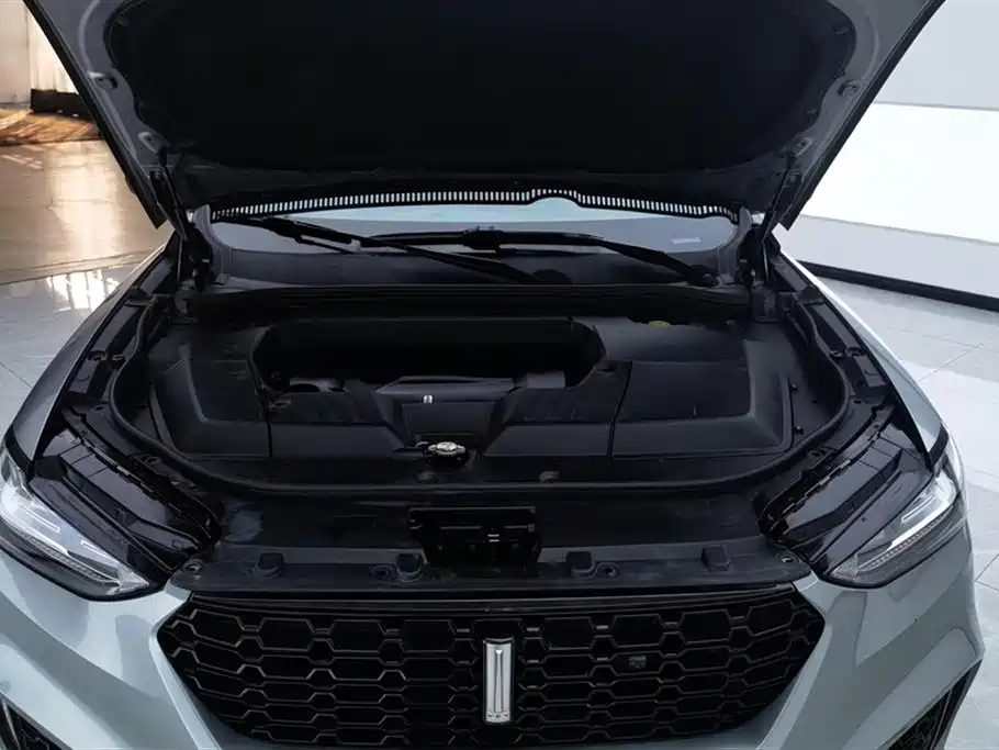 WEI PAI WEI BRAND VV6