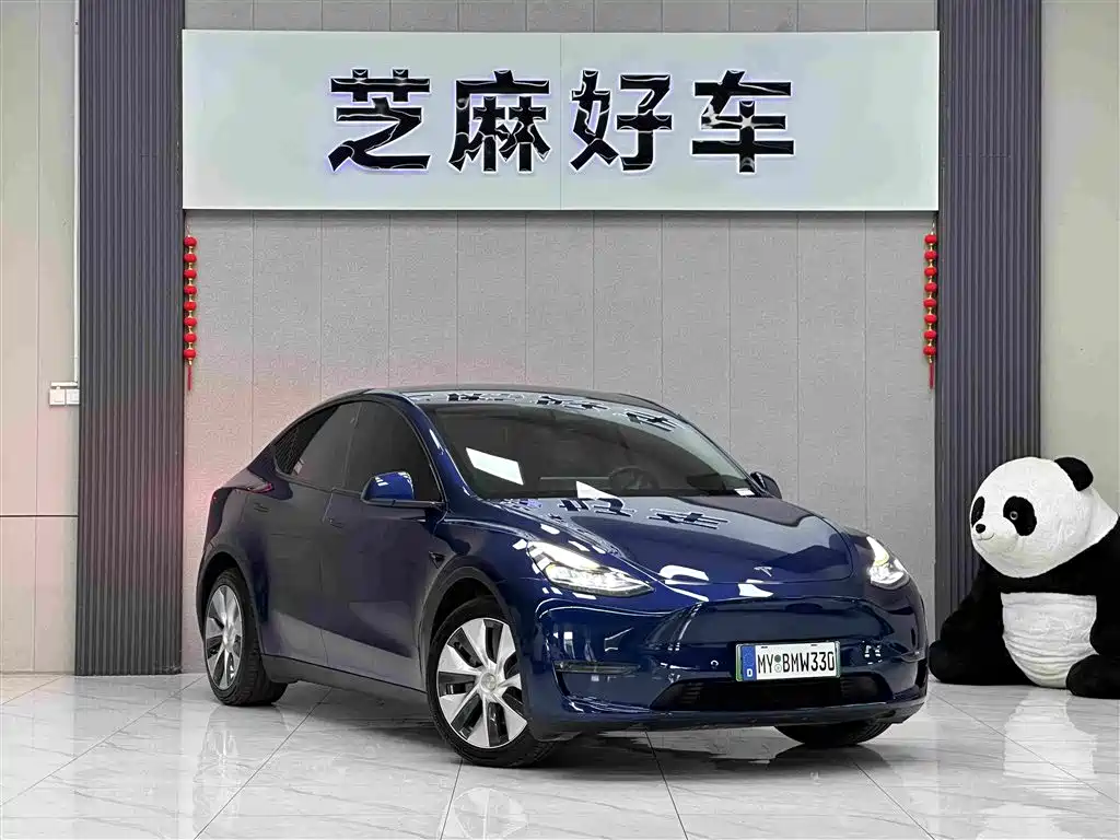 Tesla Model Y 2021 2021 Long Range All-Wheel Drive 3D7