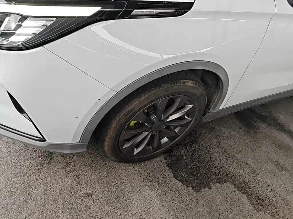 Geely Geometry C 2023 2022 Grape C550