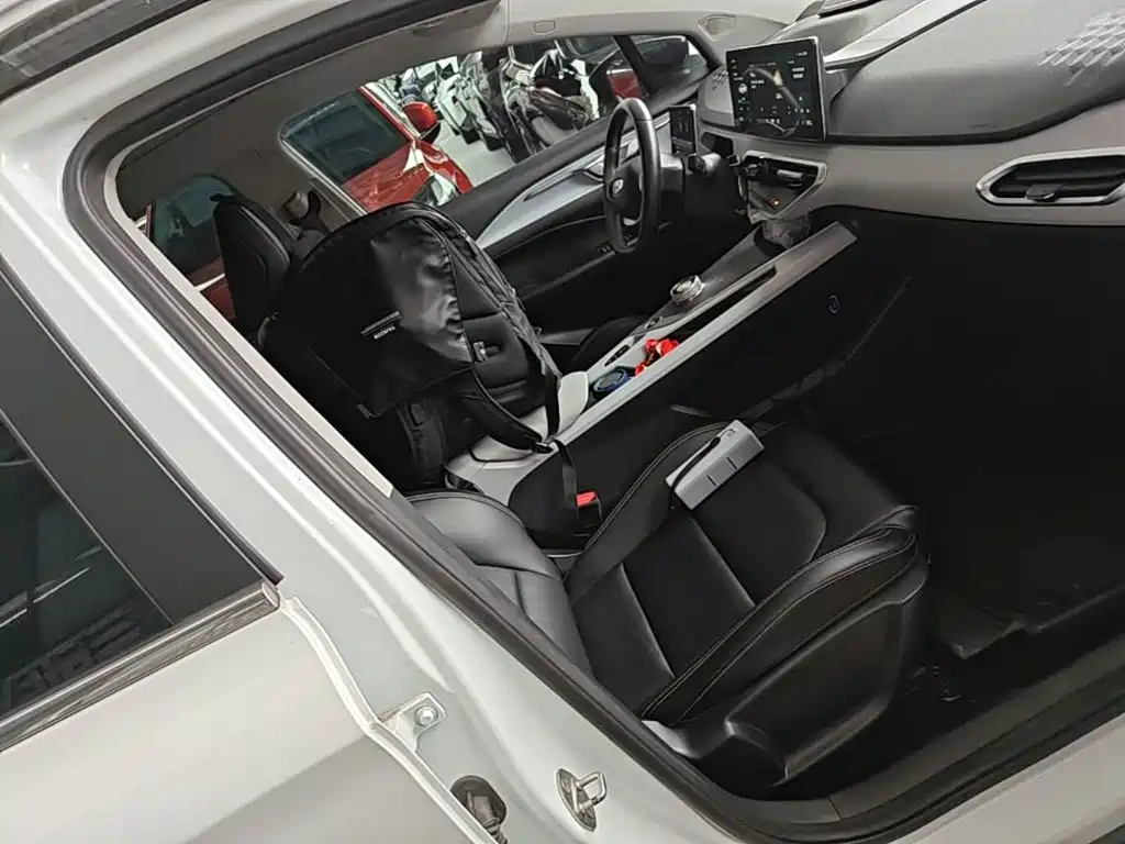 Geely Geometry C 2023 2022 Grape C550