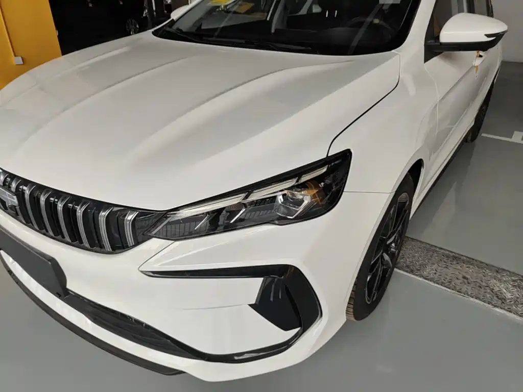 Фото 24 - Geely Binrui