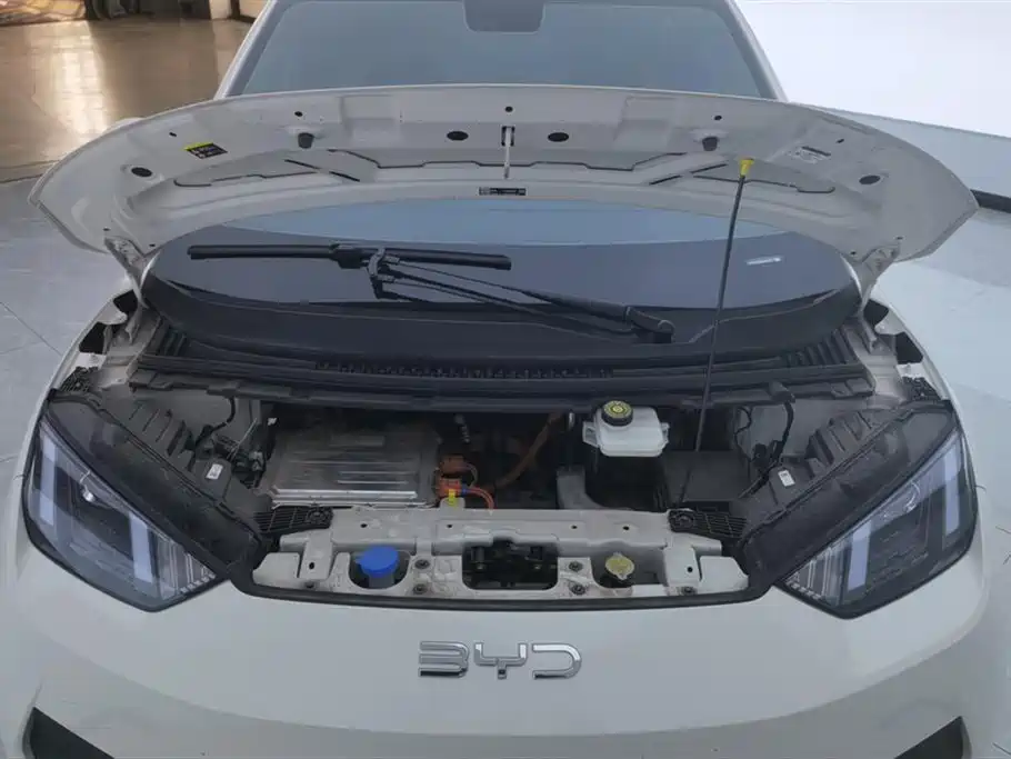 BYD Seagull 2025 Smart Drive Edition 305km Vitality Version фото 10