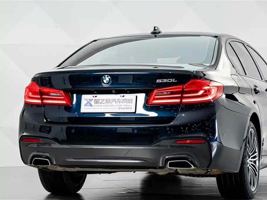 BMW 5 Series 2018 Facelift 530Li Leading M Sport Package фото 7