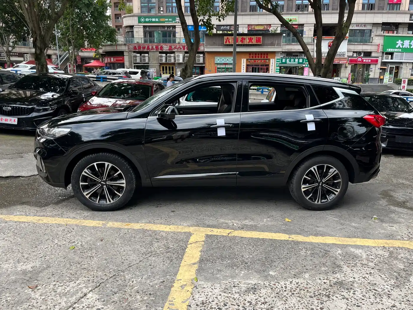 2021 WEY VV6