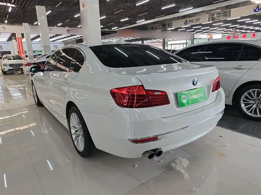 BMW 5 Series 2014 525Li Luxury Design Package фото 5