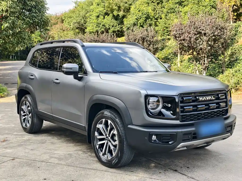 Фото 4 - Haval Dargo
