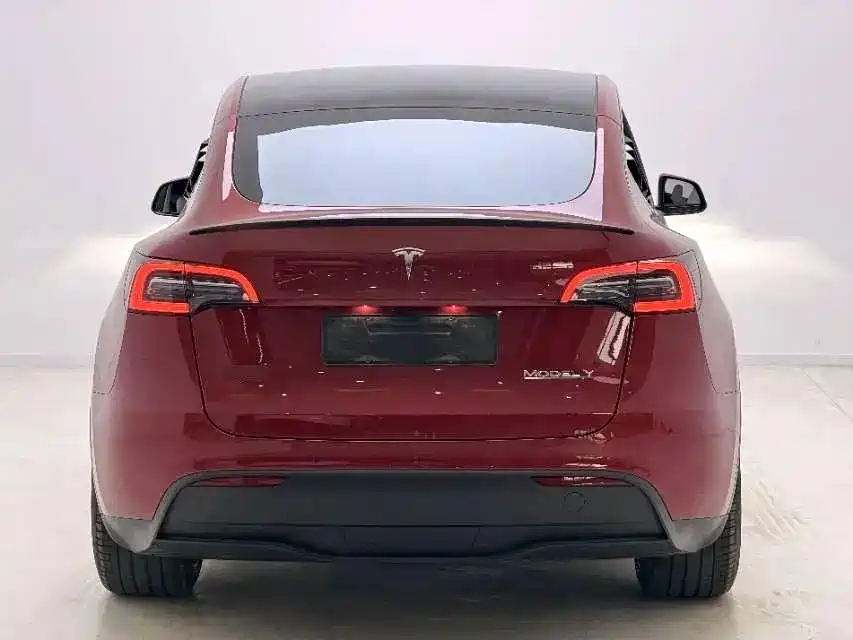 Tesla Model Y 2021 2021 Performance High-Performance AWD