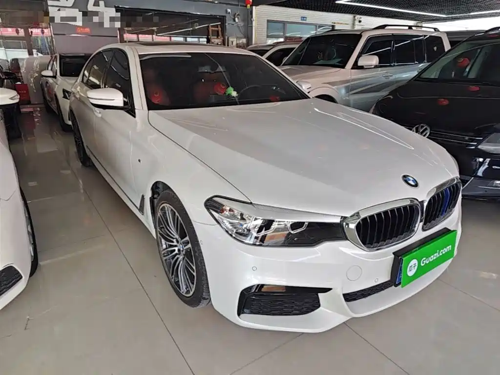BMW 5 Series 2019 530Li Leading M Sport Package фото 4