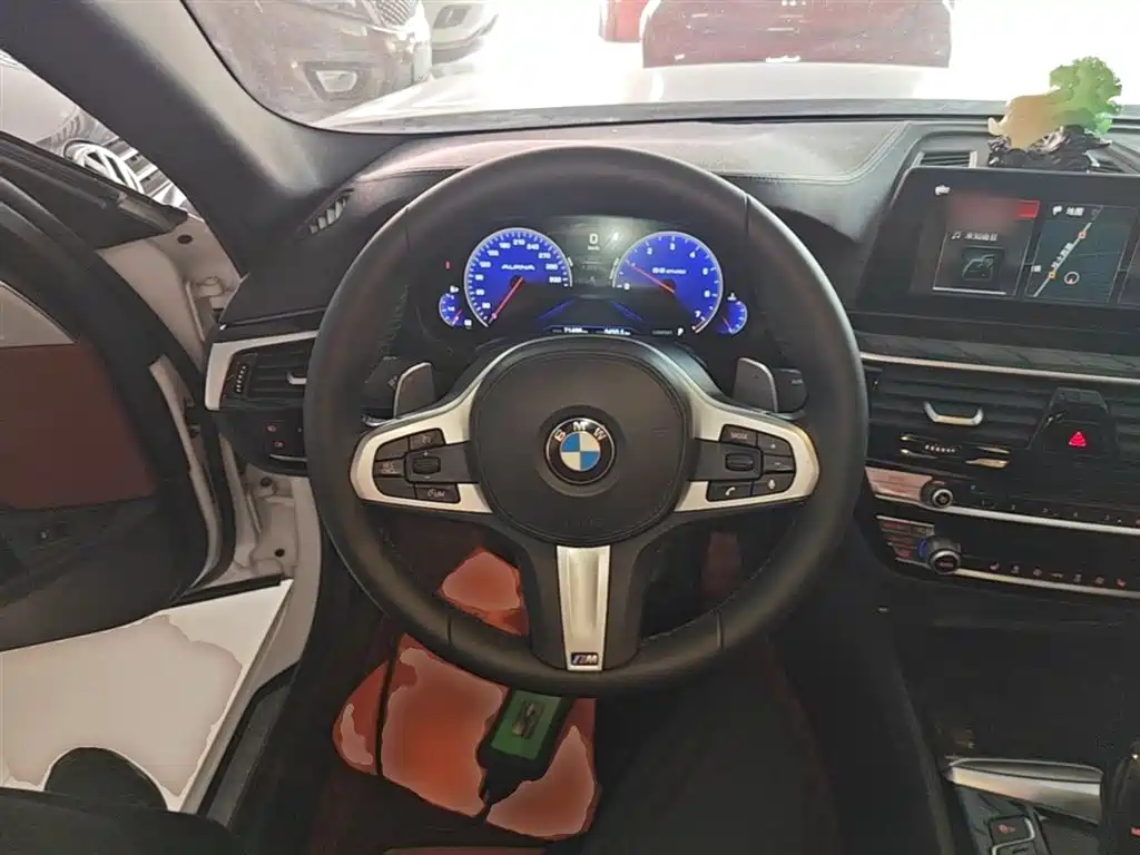 BMW 5 Series 2019 530Li Leading M Sport Package фото 11