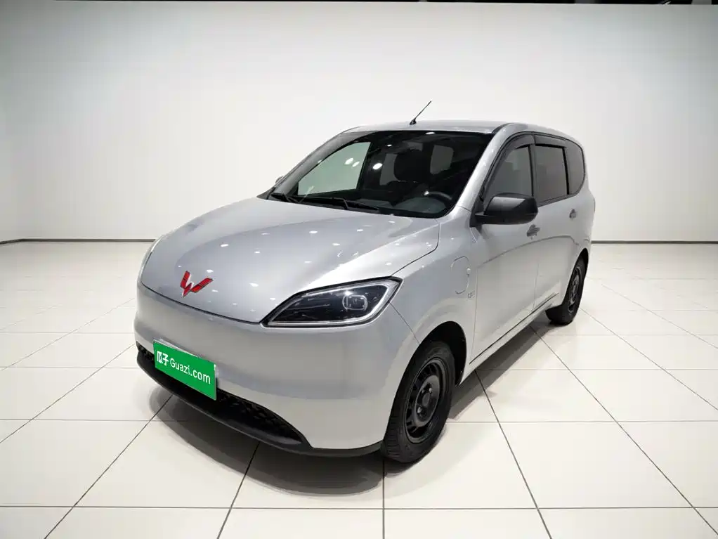 Wuling Motors Wuling Hongguang New Energy 2024 Pure Electric 300KM Standard