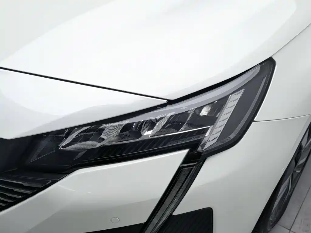صورة 7 - Peugeot 408