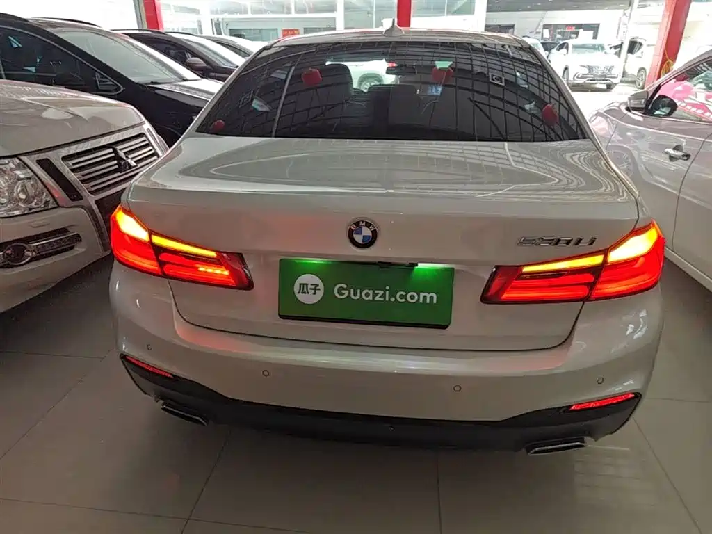 BMW 5 Series 2019 530Li Leading M Sport Package фото 6