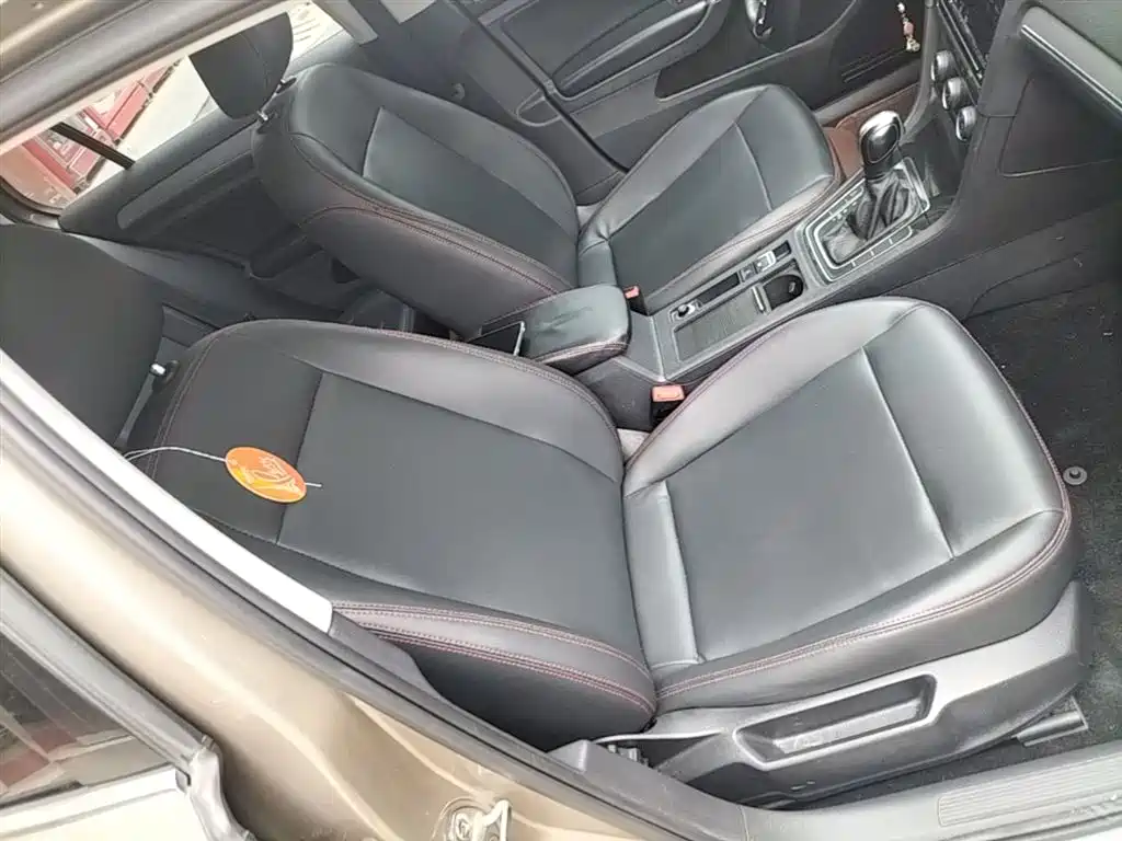 Volkswagen Golf 2019 200TSI DSG Comfort Progressive China VI фото 25