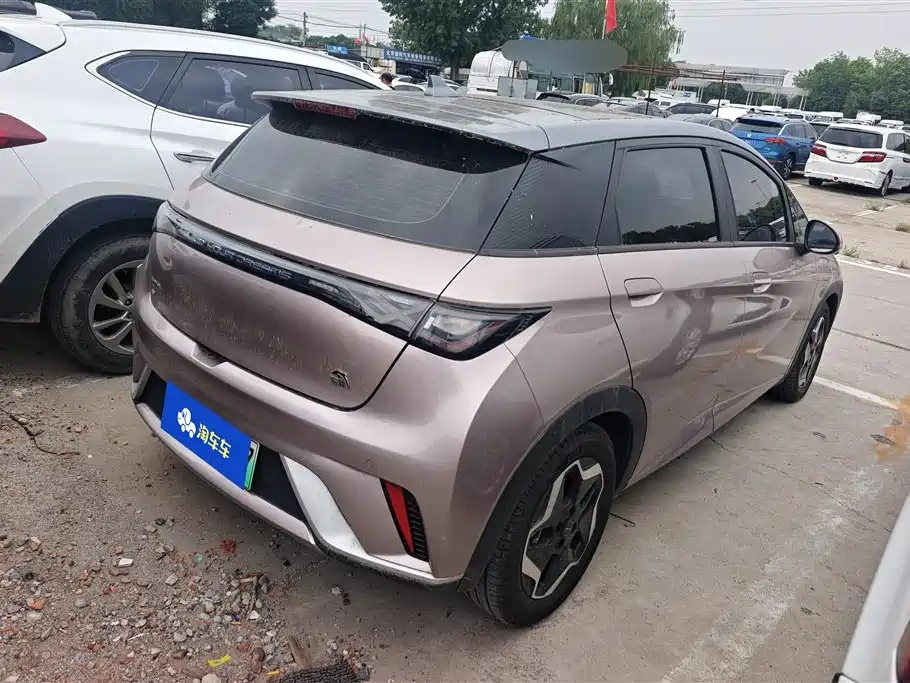 BYD Dolphin 2021 Model 405km Fashion Edition фото 3